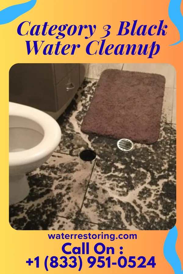 Category 3 Black Water Cleanup in Pioneer Village, KY